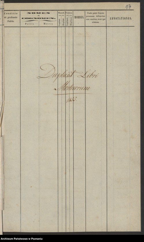 Obraz 12 z jednostki "Duplikat baptisatorum, copulatorum, mortuorum"