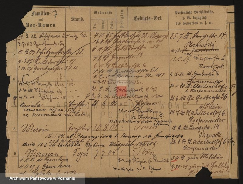 Obraz 7 z jednostki "Karolczak - Karpiński"