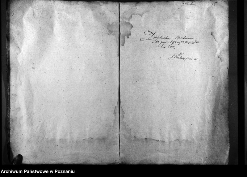 Obraz 12 z jednostki "Duplicatum natorum, copulatorum, mortuorum"