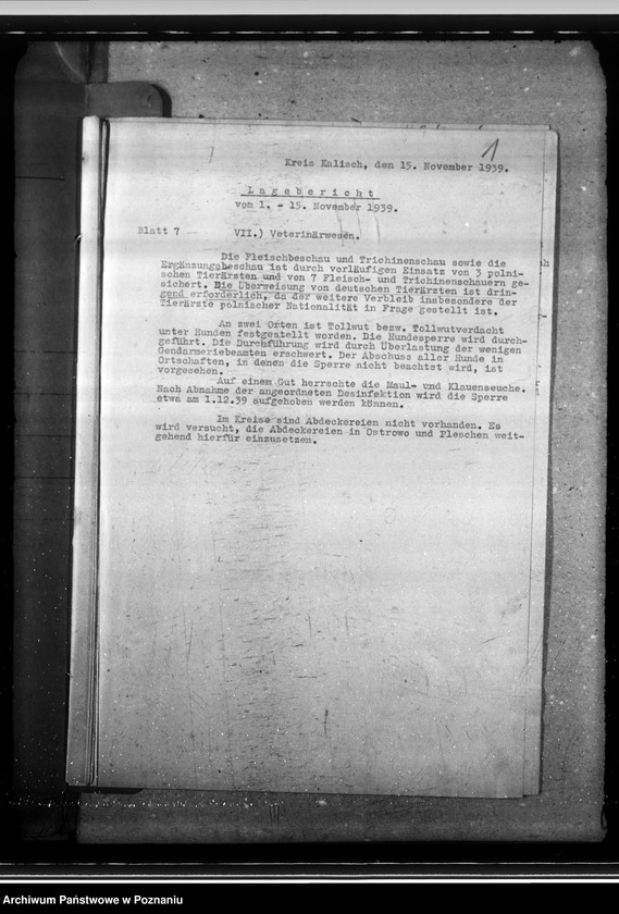 Obraz 5 z jednostki "Lageberichte aus dem Kreise Kalisch"