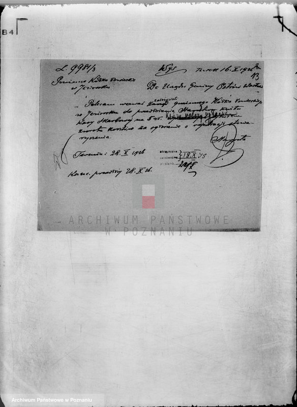 Obraz 17 z jednostki "Polskie Gminne Koło Łowieckie w Jeziorsku powiat turecki"