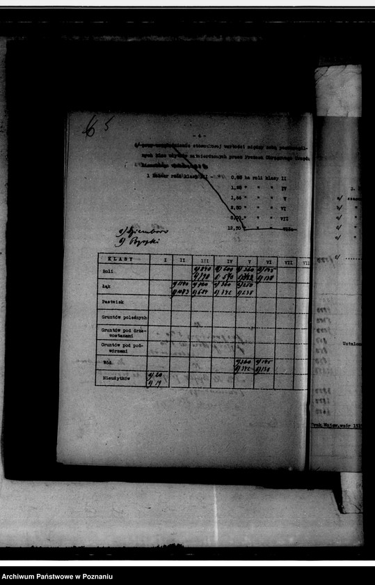 Obraz 8 z jednostki "Operat szacunkowy Dziembowo-Byszki powiat chodzieski"
