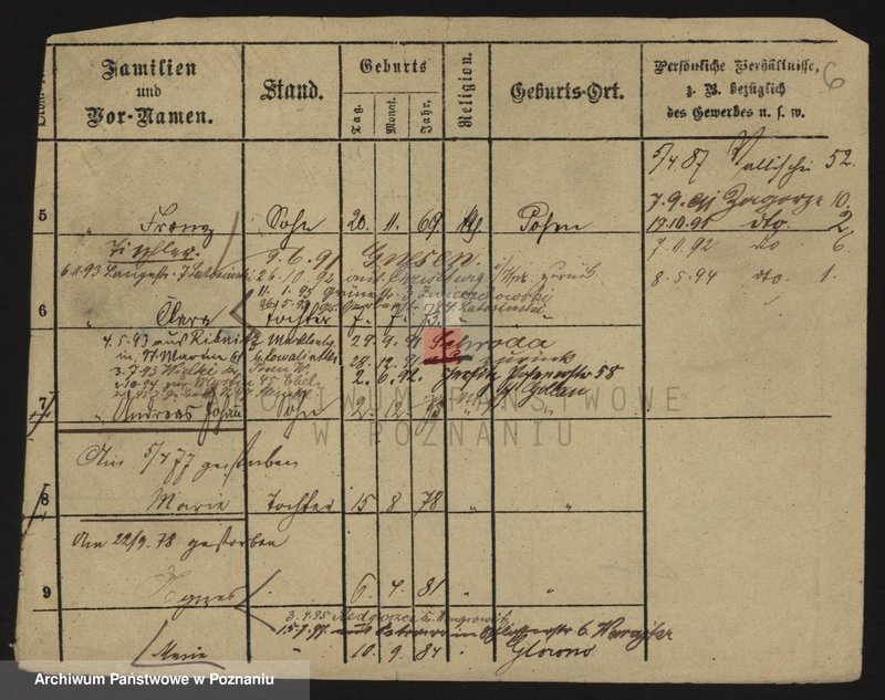Obraz 6 z jednostki "Kałużewicz - Kaminowski"