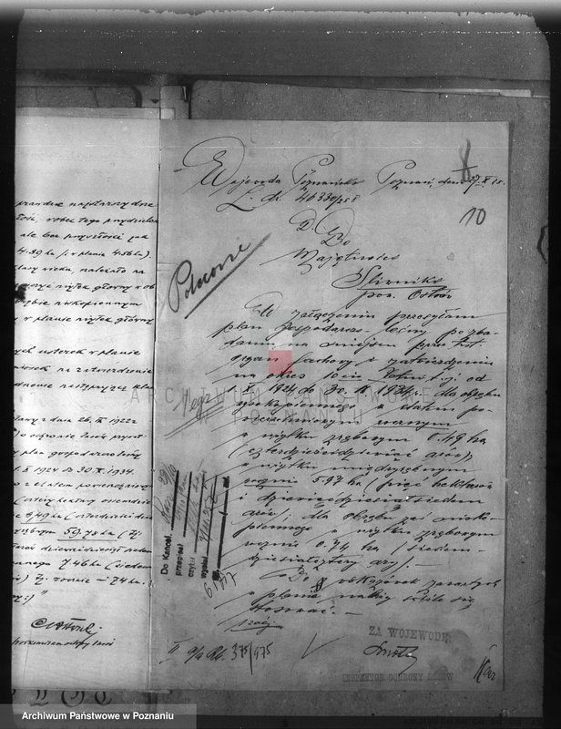 Obraz 14 z jednostki "Nadzór nad gospodarką w lasach majętności Śliwniki powiat ostrowski"