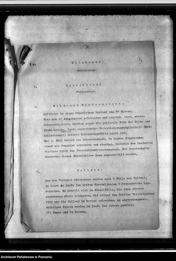 Obraz 7 z jednostki "Jahresveterinärbericht der Regierungs- Veterinärratstelle des Kreises Hermannsbad"