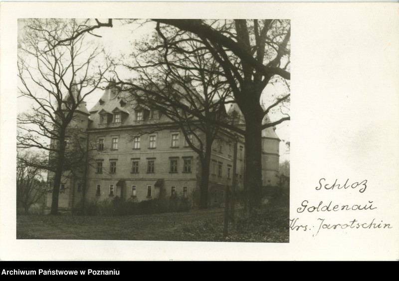 Obraz 1 z jednostki "Gołuchów - zamek"