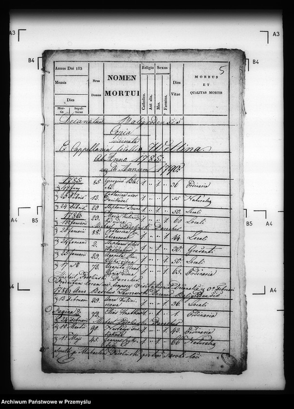 image.from.unit.number "[Kopie ksiąg metrykalnych parafii Wetlina (dekanat Cisna)]"