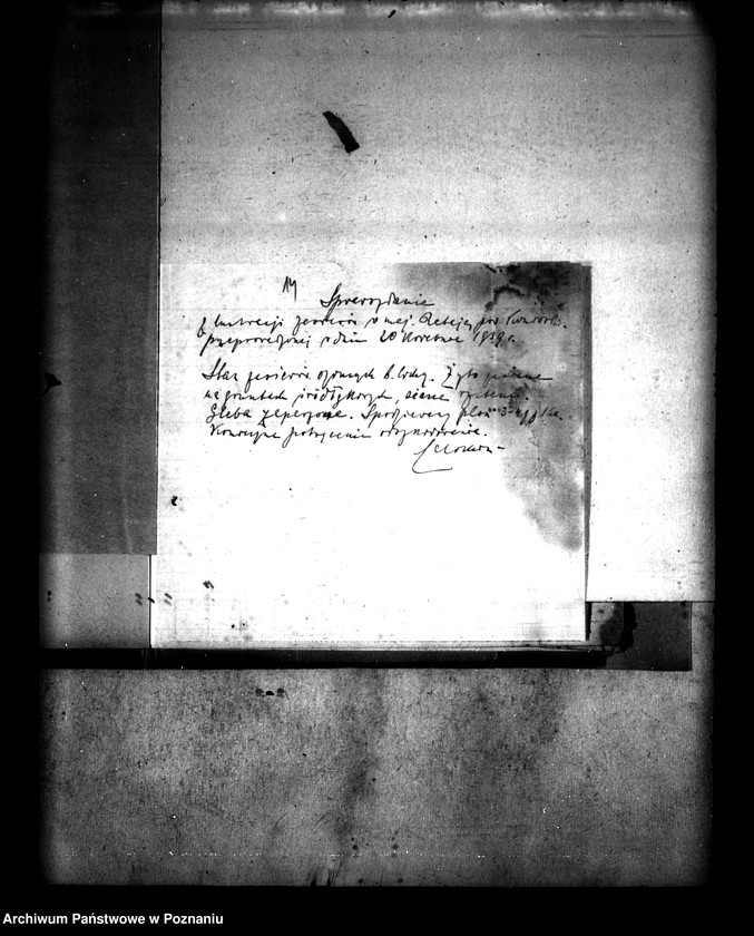 Obraz 18 z jednostki "Administracja przejściowa majątku Rataje powiatu konińskiego"