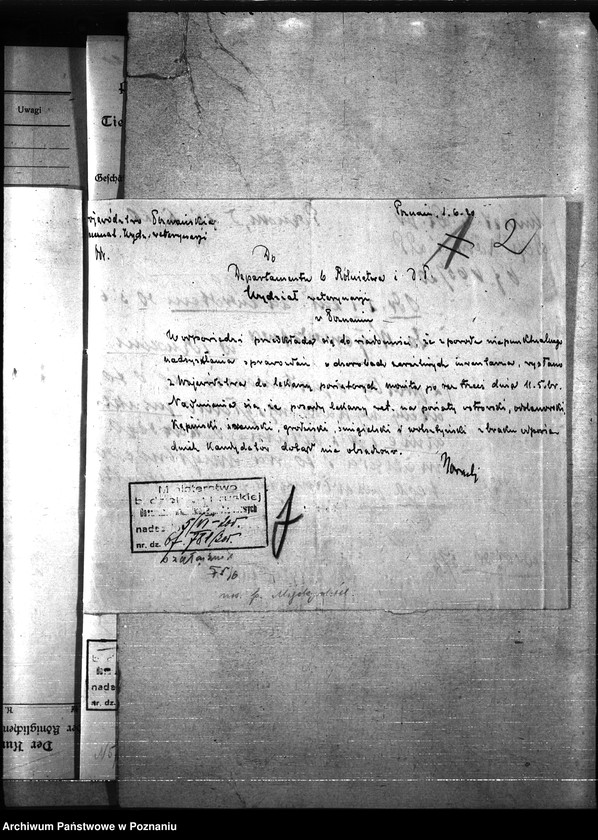 Obraz 6 z jednostki "Nosacizna - Międzychód"