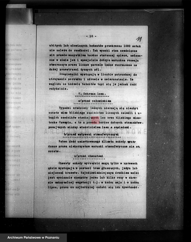 Obraz 15 z jednostki "Plan urządzania gospodarstwa leśnego majętności Borówkowo-Stare powiat. kościański"