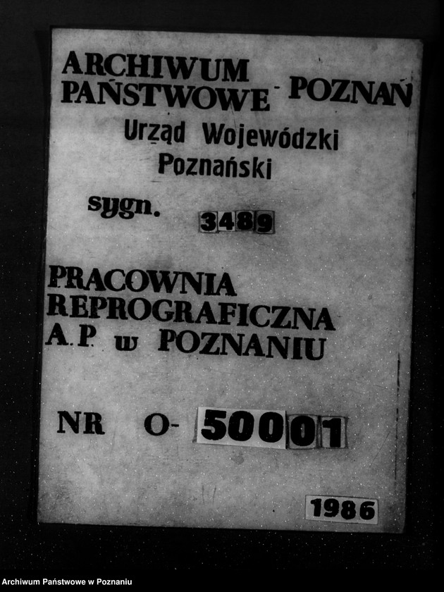 Obraz 1 z jednostki "Majętność leśna Karczewo powiat kościański"