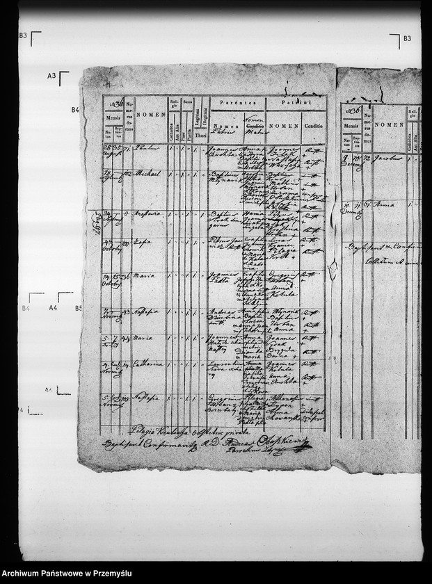 Obraz 8 z jednostki "[Kopie ksiąg metrykalnych parafii Zdynia z filiami Konieczna, Ług (dekanat Gorlice)]"