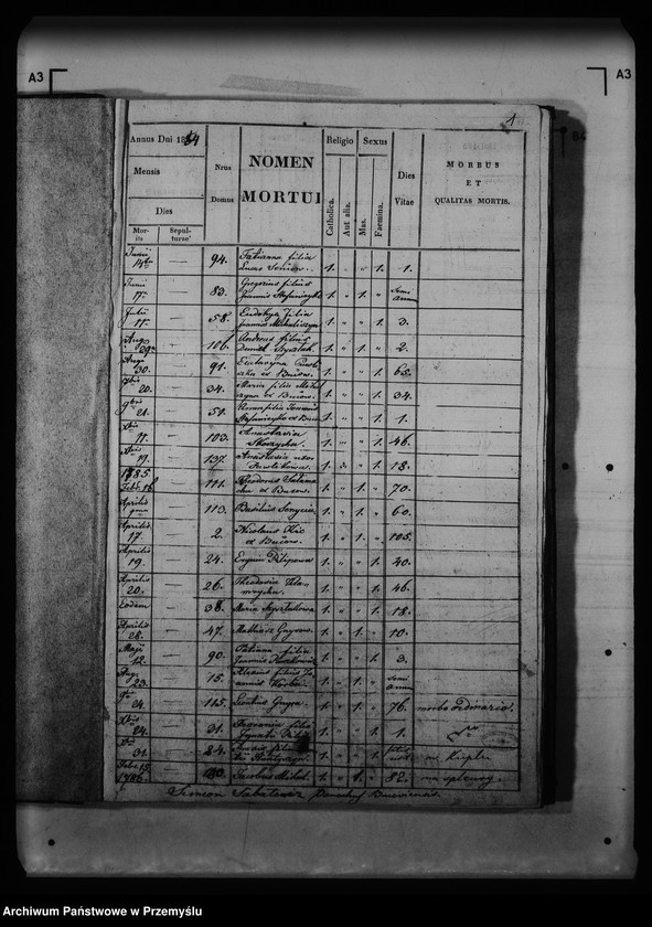 Obraz 7 z jednostki "[Kopie ksiąg metrykalnych parafii Buców (dekanat Medyka)]"