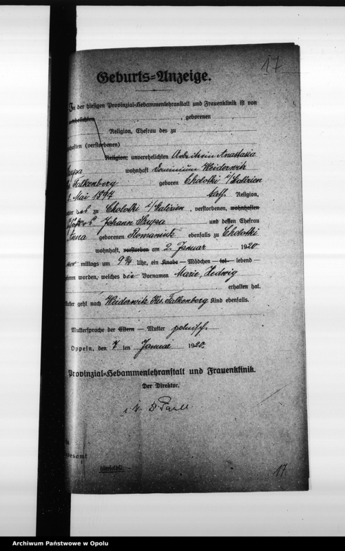 Obraz 18 z jednostki "[Akta zbiorowe Urzędu Stanu Cywilnego - urodzenia]"