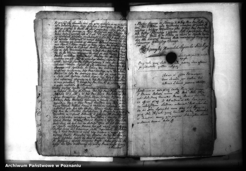 Obraz 6 z jednostki "Lauda [acticantia]"