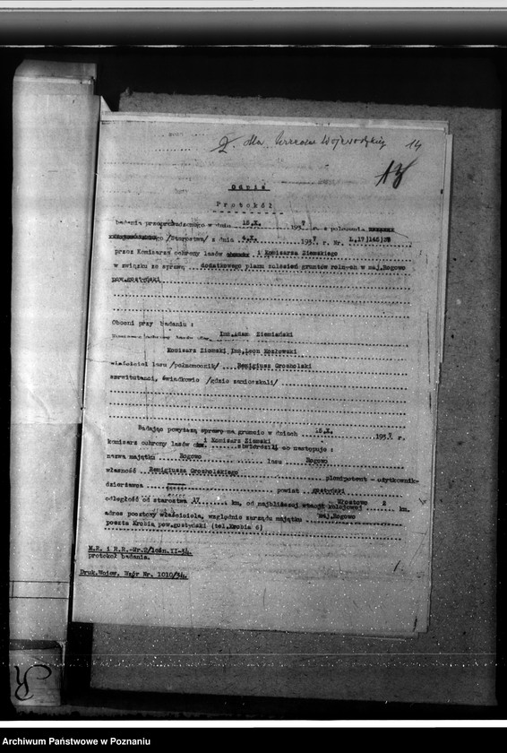 Obraz 18 z jednostki "Nadzór nad gospodarką w lasach majętności Rogowo w powiecie gostyńskim"