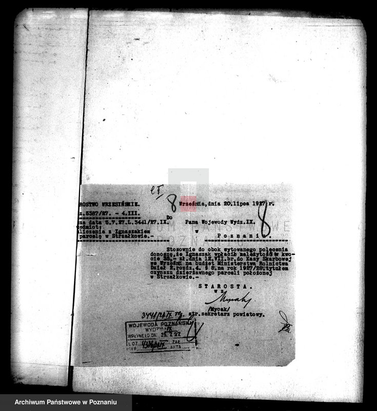 Obraz 12 z jednostki "Parcela w Strzałkowie powiatu wrzesińskiego"