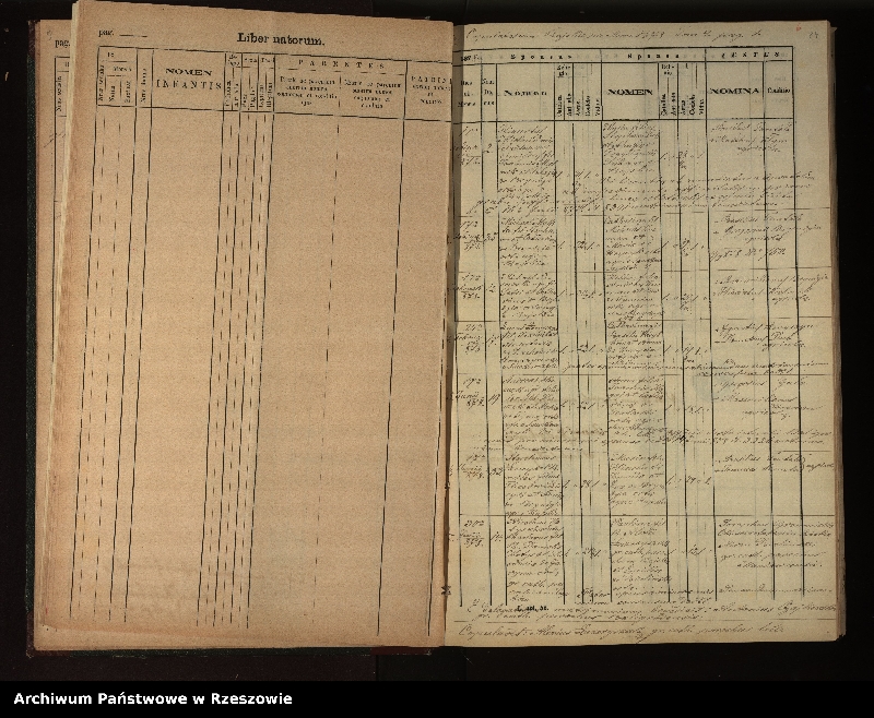 image.from.unit.number "Księga urodzeń, małżeństw i zgonów dla miejscowości Rajskie, Sakowczyk, Studenne, Horodek"