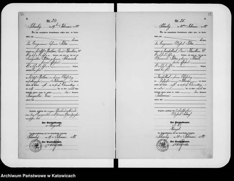 image.from.unit.number "Księga urodzeń nr 1-196"