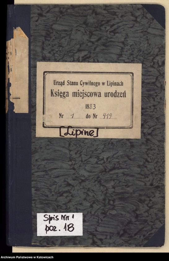 image.from.unit.number "Księga urodzeń T.1 nr 1-419"