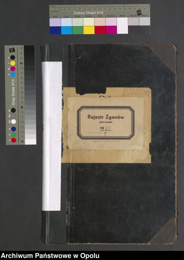 Obraz 2 z jednostki "[Rejestr zgonów] 1925 Tom I Nr 1-449"