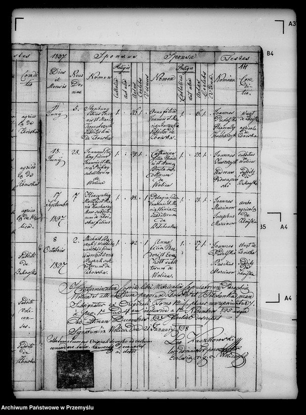Obraz 18 z jednostki "[Kopie ksiąg metrykalnych parafii Wolica z filiami Bełchówka, Zboiska (dekanat Buków)]"