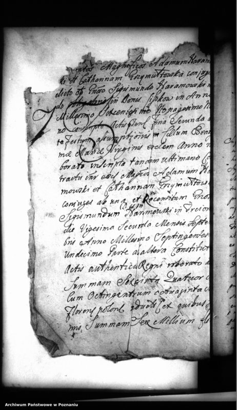 Obraz 10 z jednostki "Inscriptiones, resignationes [protocollon]"