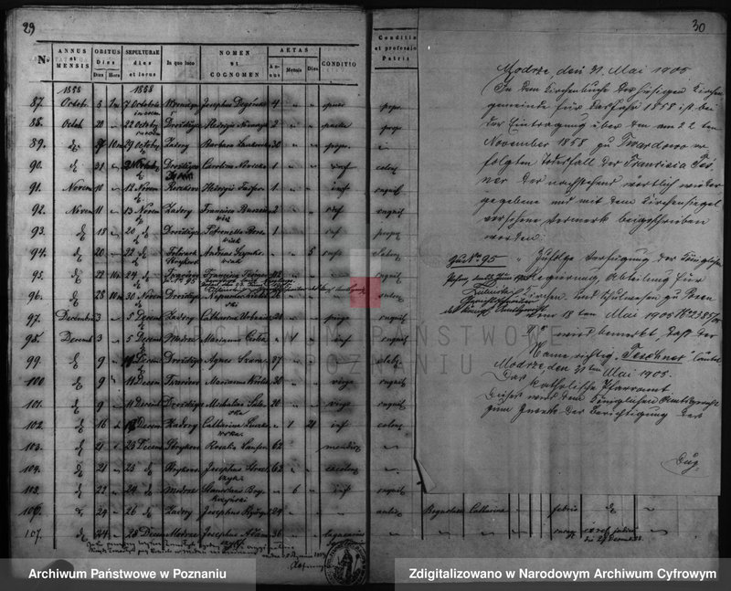 Obraz 19 z jednostki "Duplicatus baptisatorum, copulatorum, mortuorum"
