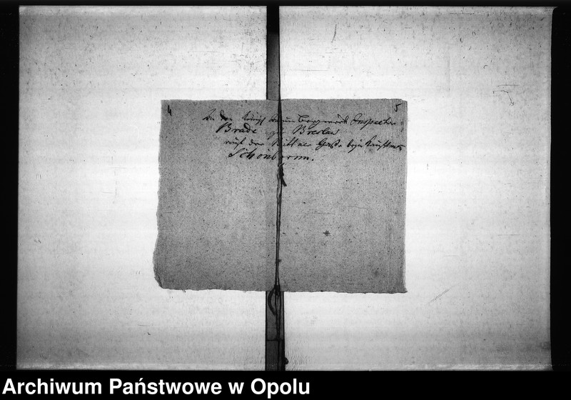 Obraz 7 z jednostki "Acta Specialia des Magistrats zu Oppeln. Wegen Anlegung einer Unterlaugen-Siederey für das Alaun Bergwerk zu Freyenwalde a/O. [...]"