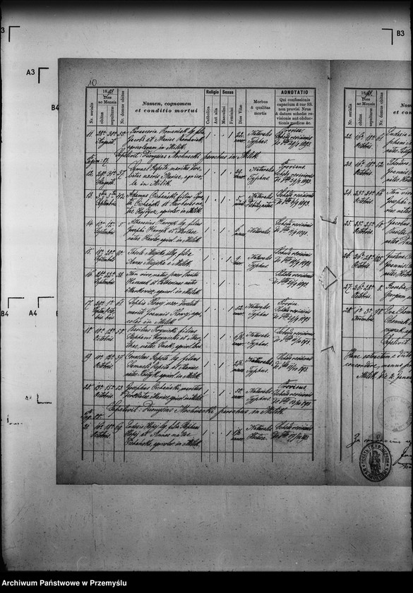 Obraz 14 z jednostki "[Kopie ksiąg metrykalnych parafii Milik z filią Andrzejówka (dekanat Muszyna)]"