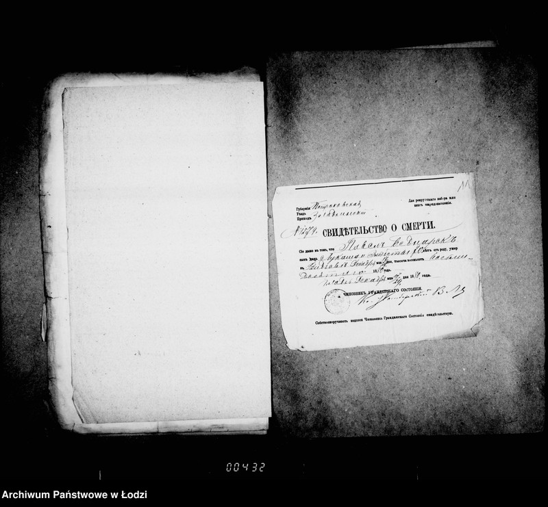 Obraz 16 z jednostki "O gorodskich lesach"