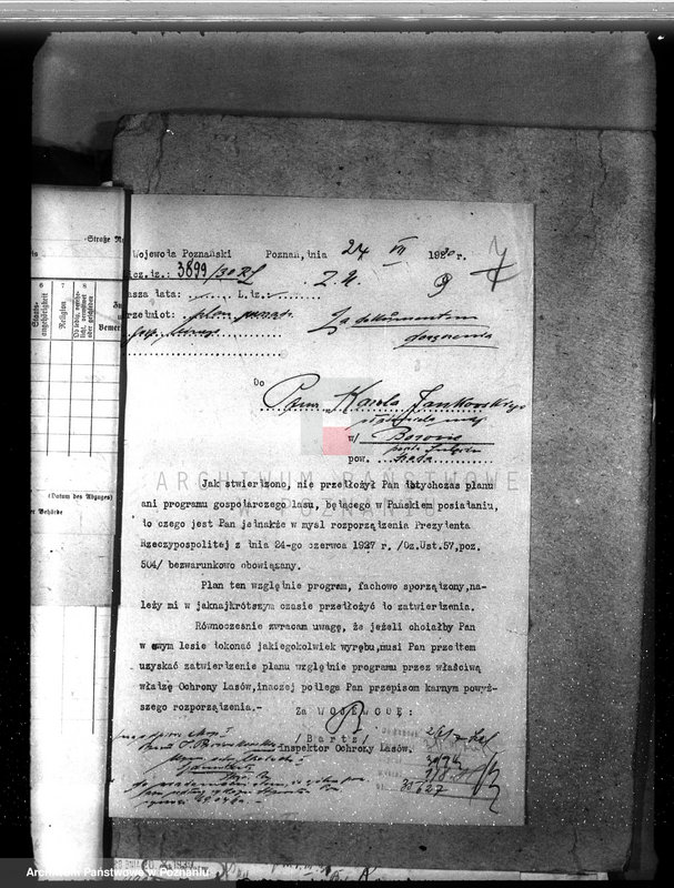 Obraz 13 z jednostki "Nadzór nad gospodarką w lasach majętności Borowo powiat średzki"