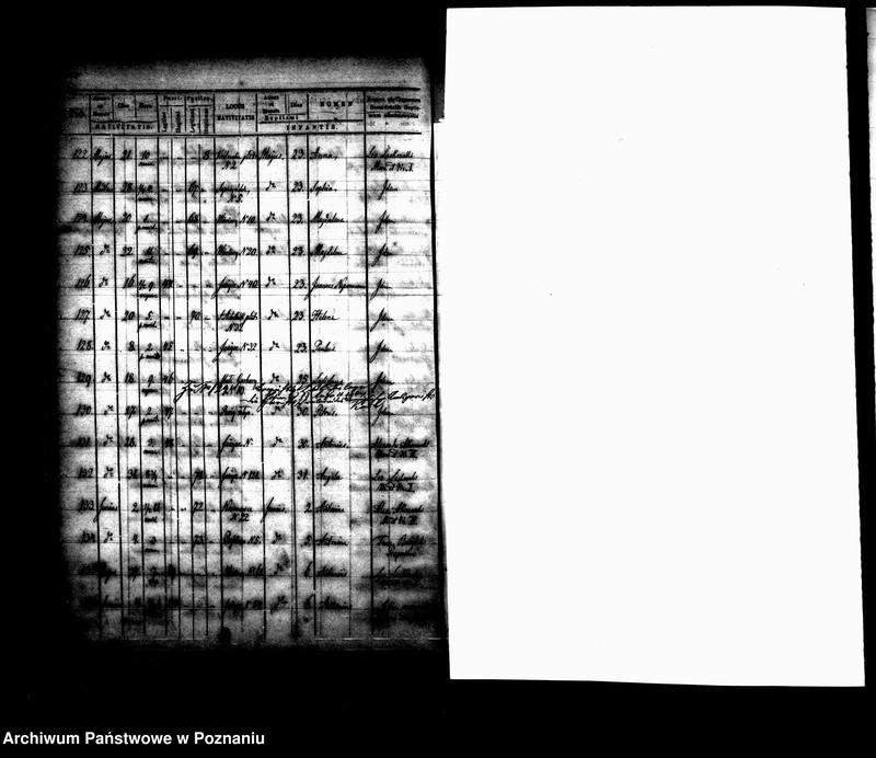 Obraz 12 z jednostki "Księga urodzin"