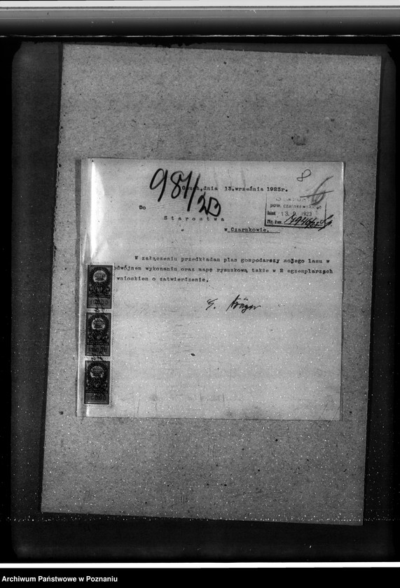 Obraz 12 z jednostki "/Nadzór nad gospodarką w lasach gminy Osuch w powiecie czarnkowskim własność Ewald Draeger"