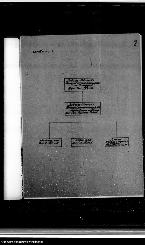Obraz 12 z jednostki "Kwestionariusz Przemysłu Ziemniaczanego Lubań-Wronki S.A. Cegielnia w Stawie /powiat wrzesiński/"
