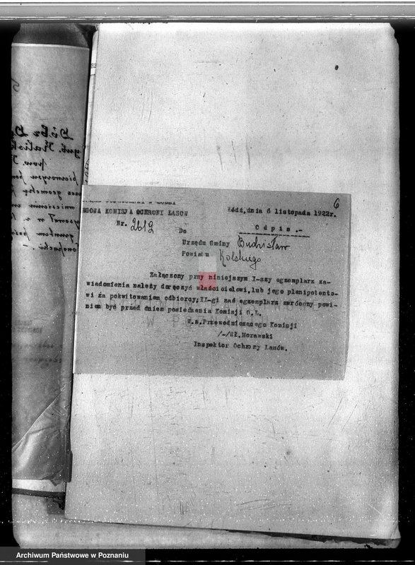 Obraz 10 z jednostki "Sprawa nieprawego wykarczowania lasu i zamiana go na użytek rolny w lasach majątku Dęby Szlacheckie własność P. J. Żeromskiego"