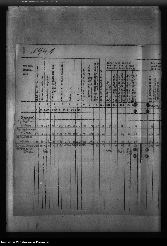 Obraz 12 z jednostki "Gauübersichten der Typhus - Sonderstatistiken"