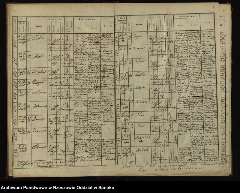image.from.unit.number "Księga urodzeń dla miejscowości Manasterzec z lat 1864-1877 oraz księga zgonów dla miejscowości Manasterzec, Łukawica, Bezmiechowa Dolna i Bezmiechowa Dolna"