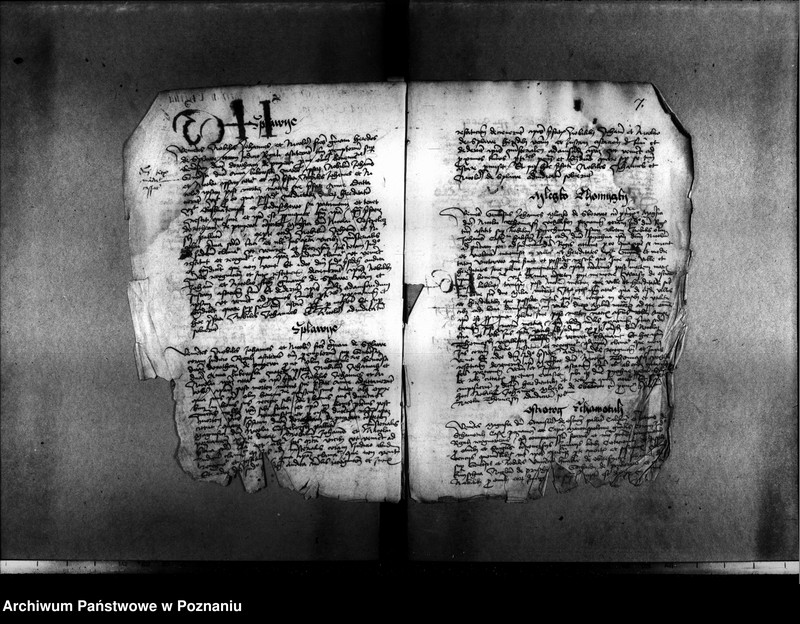 Obraz 10 z jednostki "Resignationes ,inscriptiones, relationes, decreta [protocollon]"