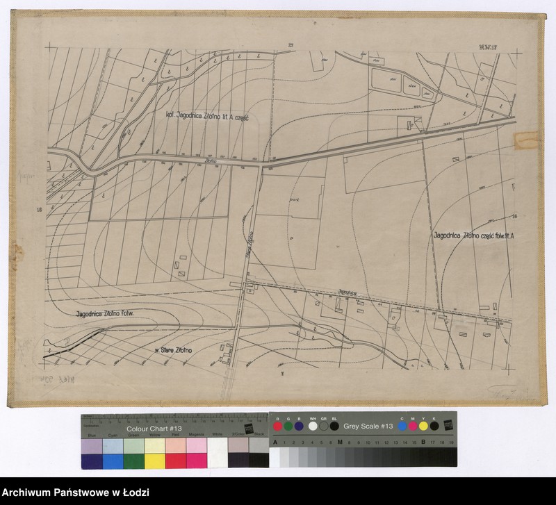 Obraz 1 z jednostki "Mapa sytuacyjno-wysokościowa Łodzi sekcja NW17 - ul.: Złotno, Stare Złotno, Jagodnica"