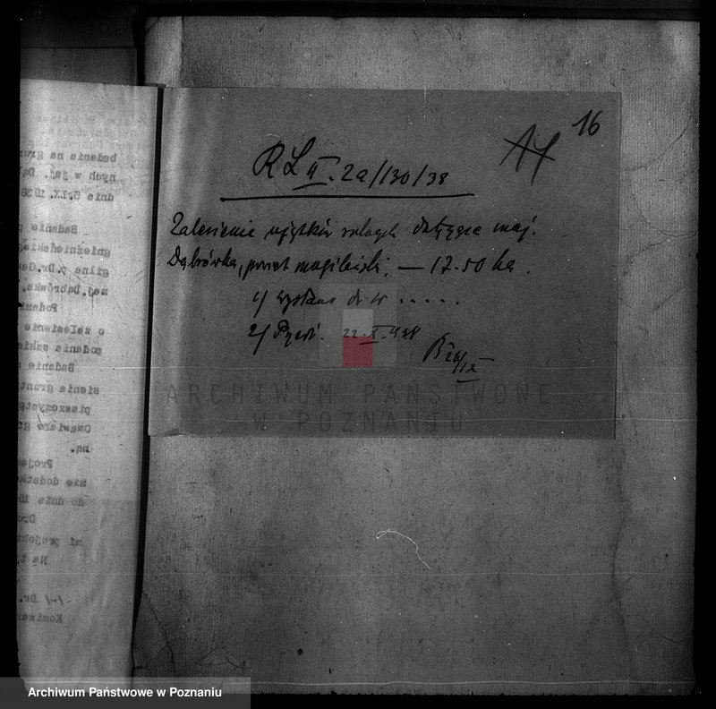 Obraz 20 z jednostki "Majętność /leśna/ Szczeglin Dąbrówka w powiecie mogileńskim"