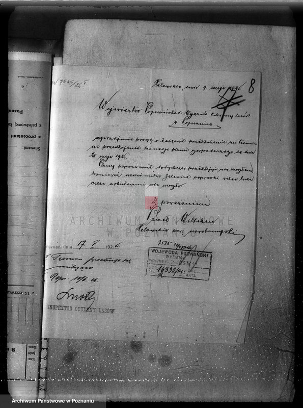 Obraz 12 z jednostki "/Nadzór nad gospodarką w lasach majątku Lubień-Helowskie w powiecie nowotomyskim"