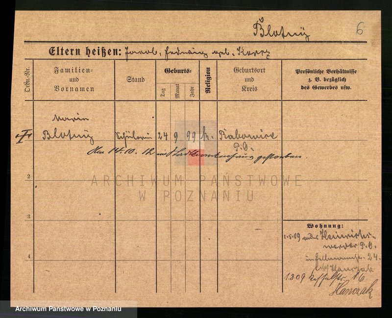 Obraz 8 z jednostki "Bloch - Blume"