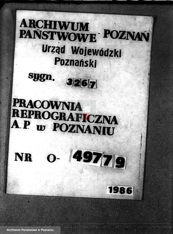 Obraz 1 z jednostki "Majętność leśna Sarbinowo w powiecie gostyńskim"