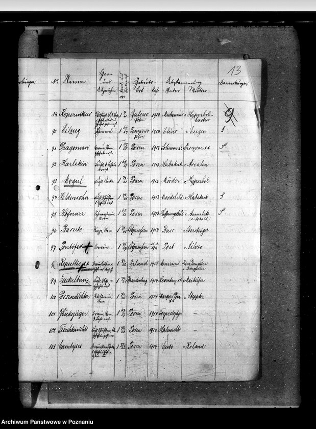 Obraz 17 z jednostki "Sprawy stadnin Zarząd Stadnin Sieraków"