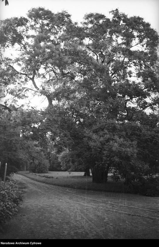 image.from.unit.number "Służewo w województwie pomorskim"