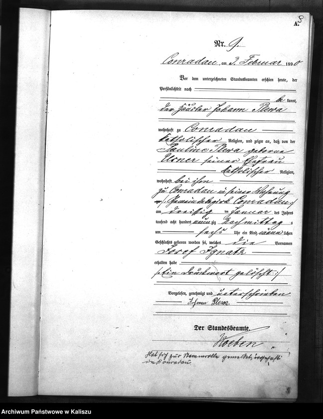 Obraz 13 z jednostki "[Księga urodzeń]"
