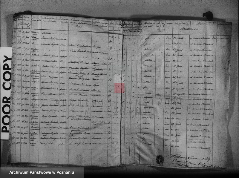 Obraz 13 z jednostki "Liber baptisatorum, copulatorum, mortuorum"