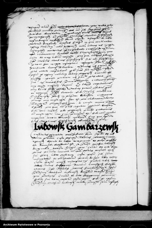 Obraz 16 z jednostki "Inscriptiones, relationes, decreta [inducta]"