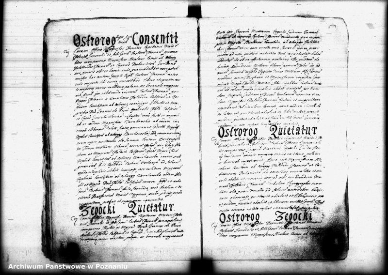 Obraz 16 z jednostki "Inscriptiones [inducta]"